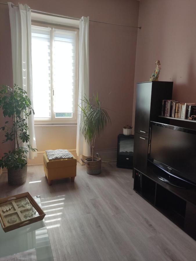 Gite Chanay 80 M2 Tournus 2 Chambres المظهر الخارجي الصورة
